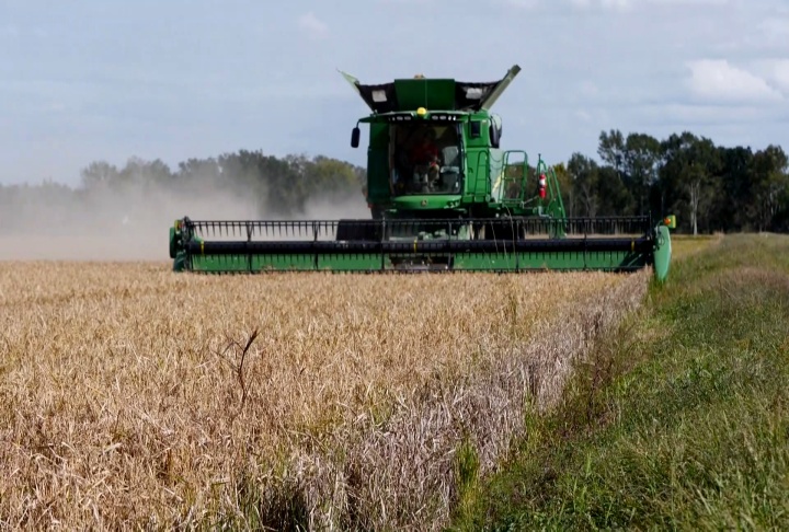 Louisiana rice farmers nearly complete with harvesting their second-crop rice